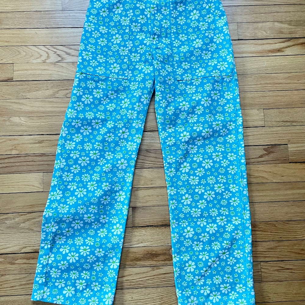 Big Bud Press Lazy Daisy Work Pants Small